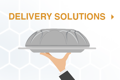 Delivery Solutions
