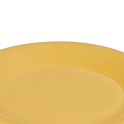 yellow Sierrus plate